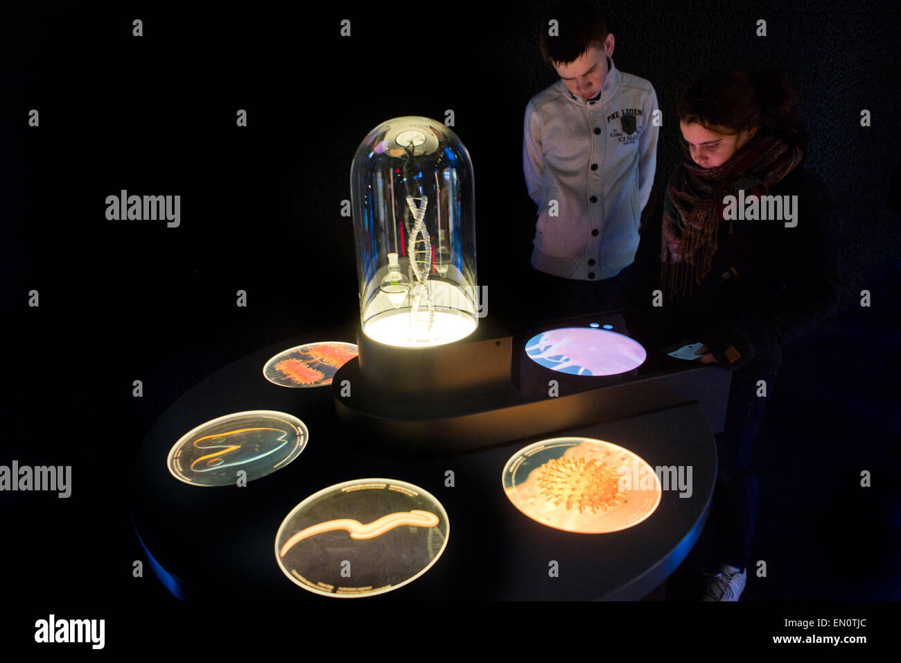 Micropia is an educational scientific museum about microbes Stock Photo