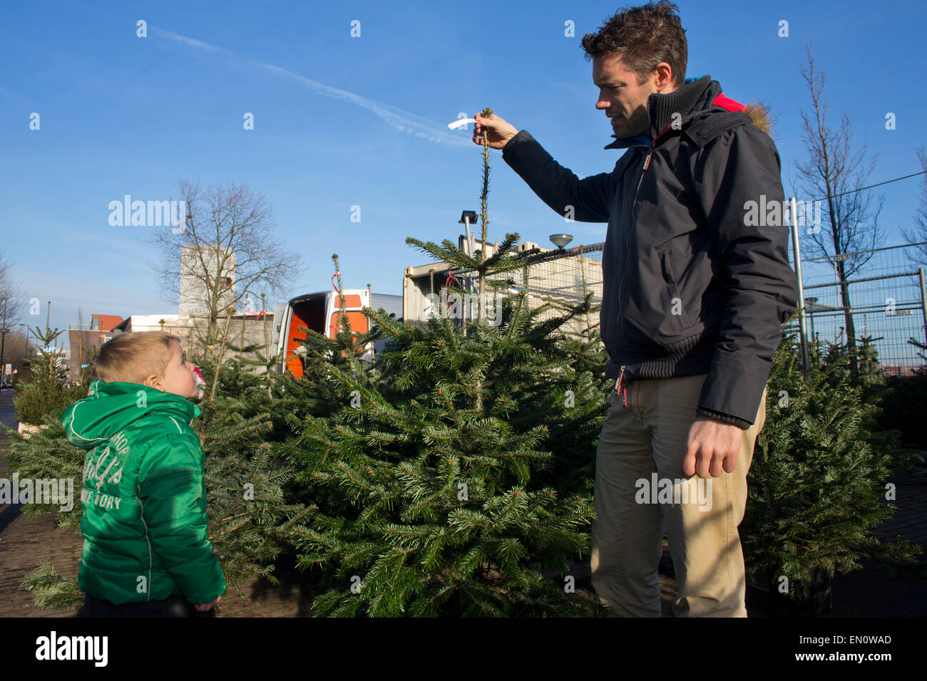 The norwegian christmas tree hires stock photography and images Alamy