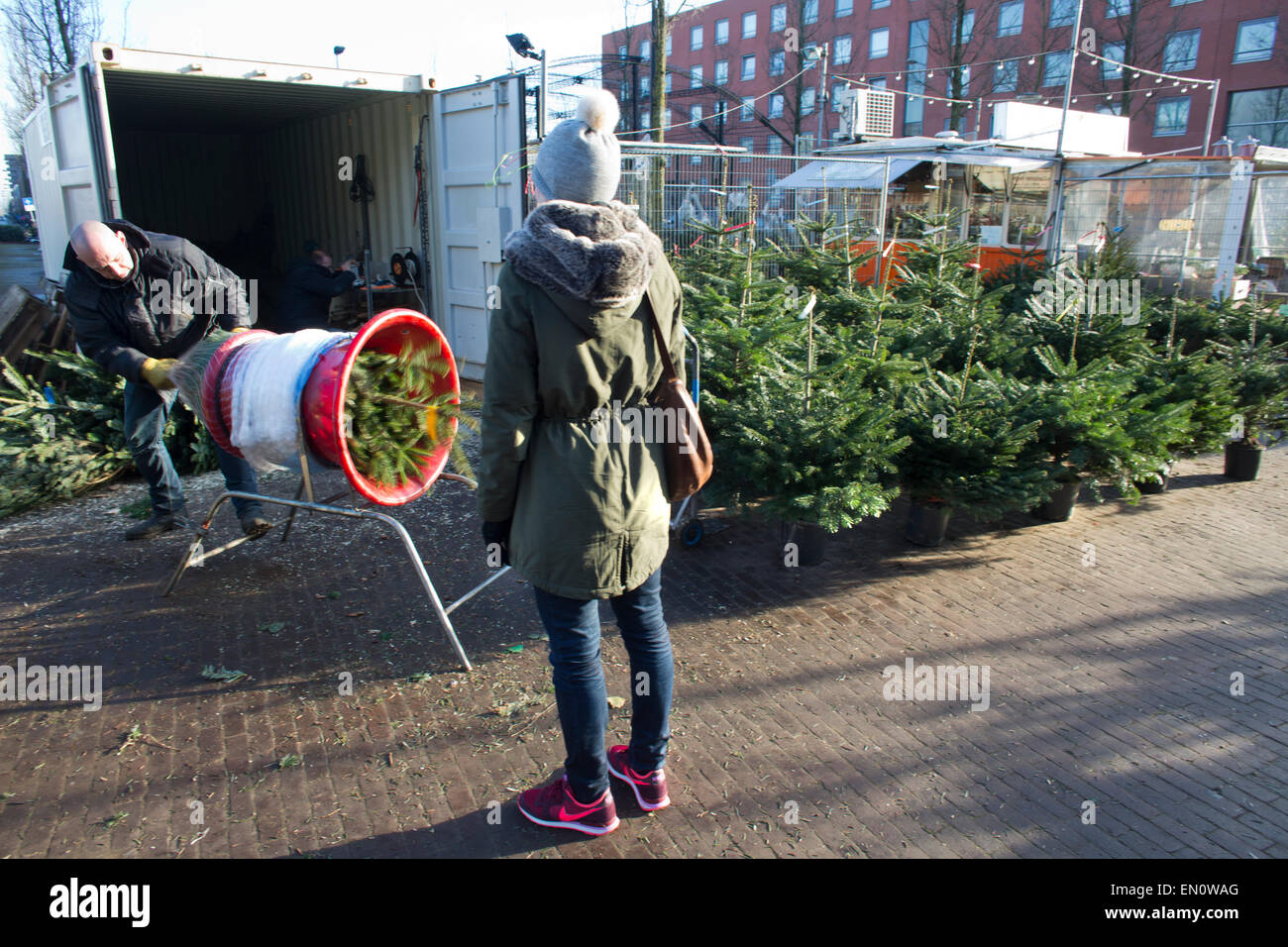 Christmas in netherlands tradition hires stock photography and images