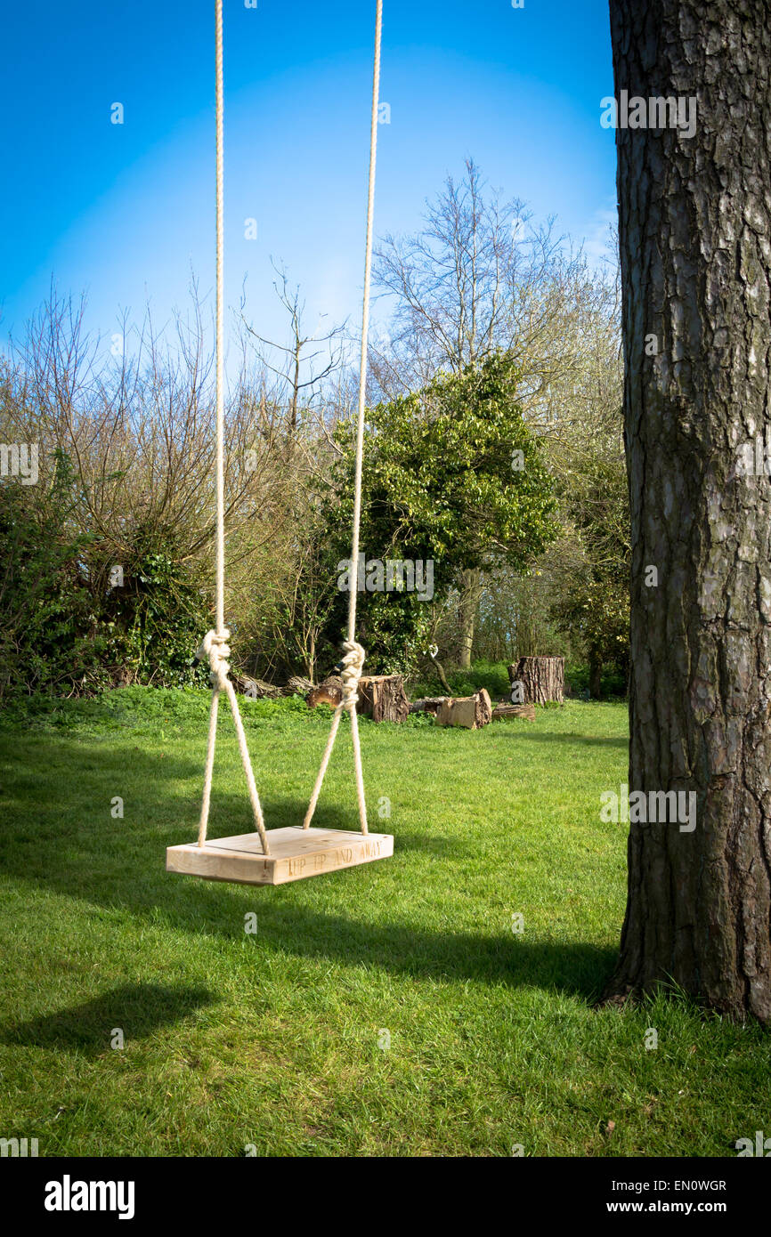 Tree swing in the garden with a tall tree, blue sky and green grass Stock Photo Alamy