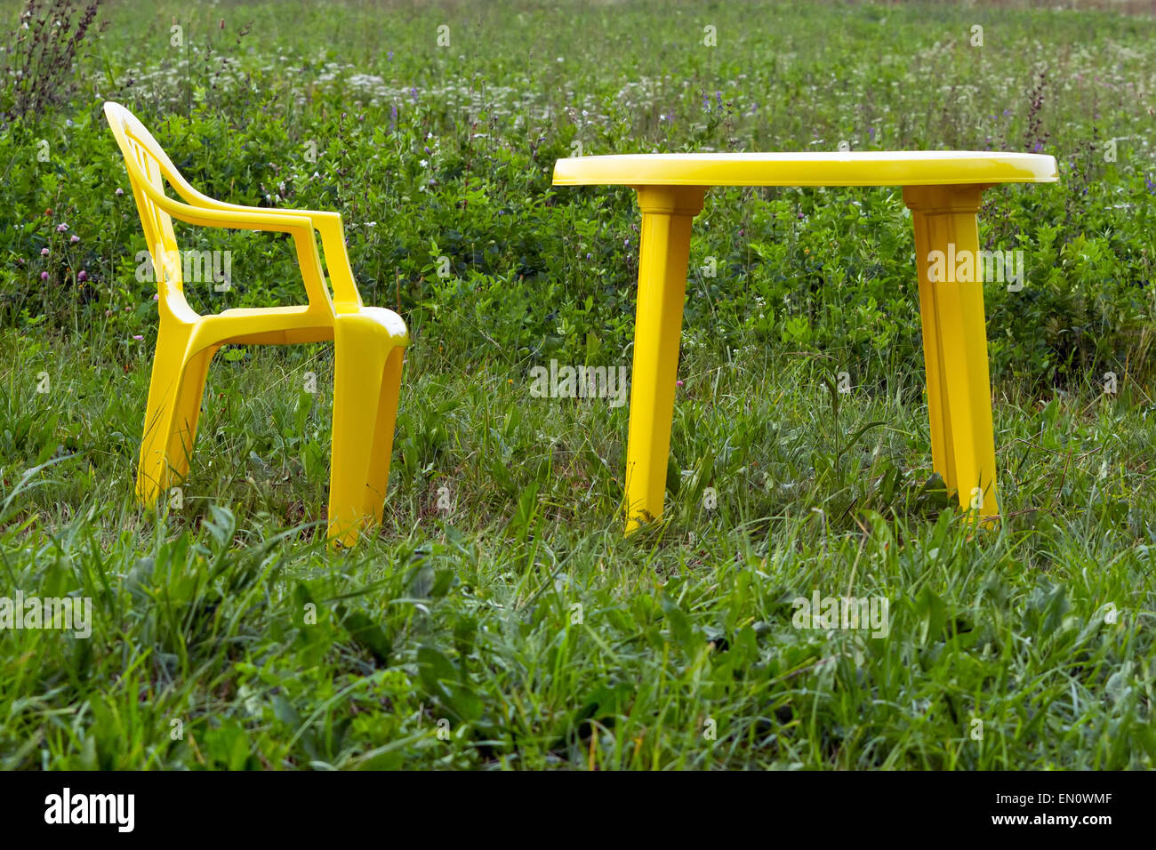 A table and a chair at green meadow Stock Photo Alamy