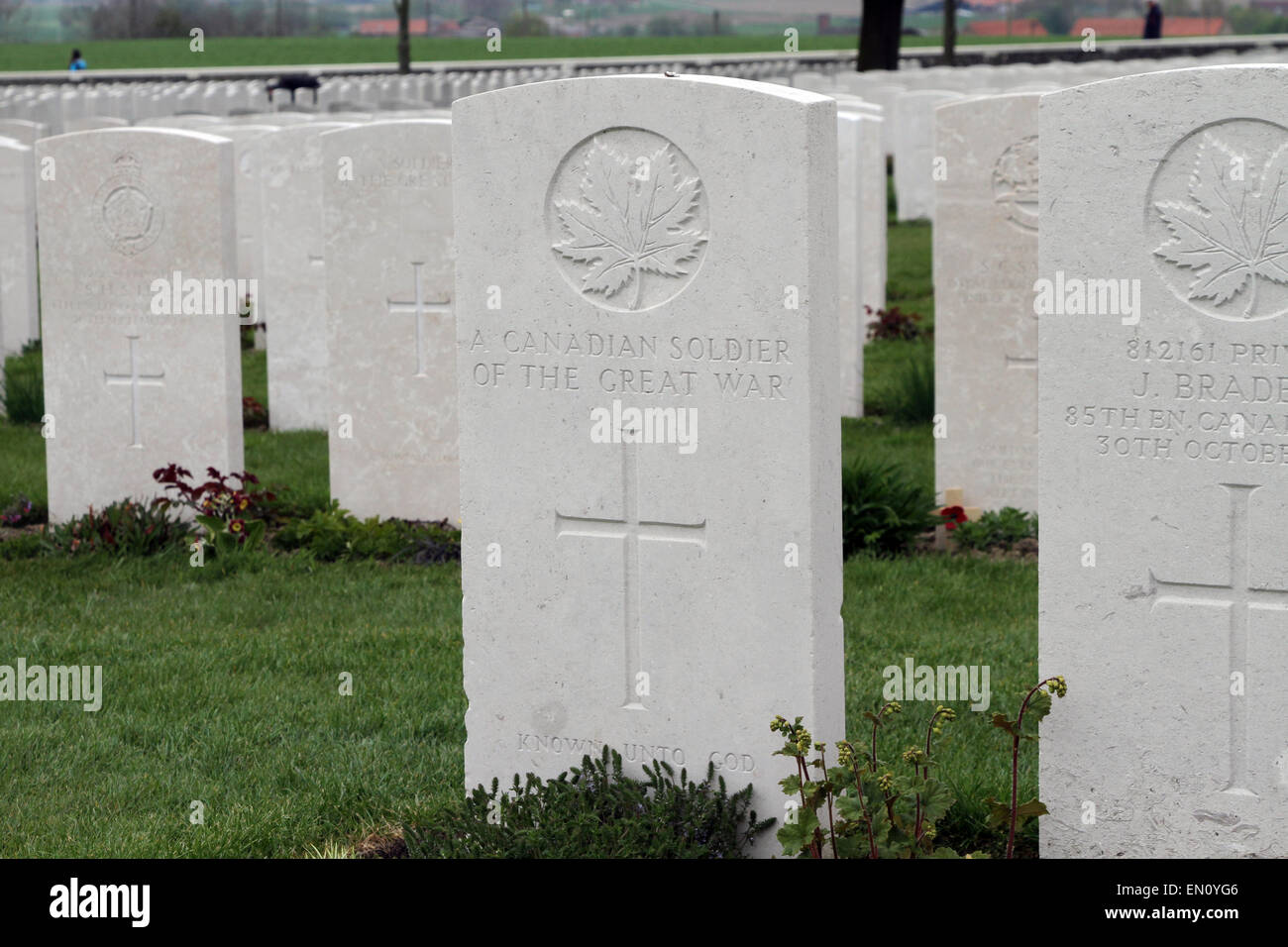 The grave of a Canadian soldier at Tyne Cot cemetery, near Ypres, Belgium. Stock Photo