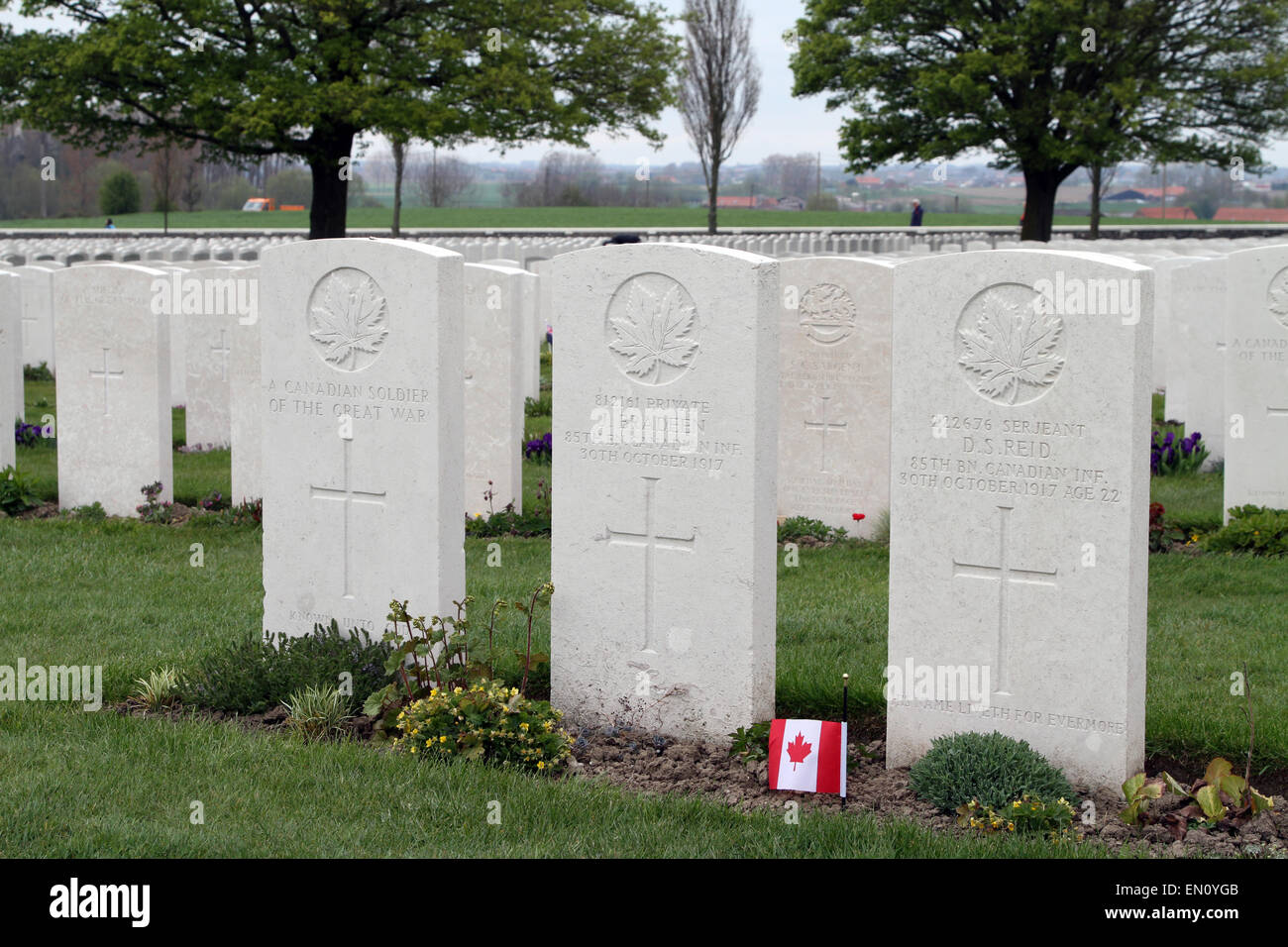 The graves of Canadian soldiers at Tyne Cot cemetery, near Ypres, Belgium. Stock Photo