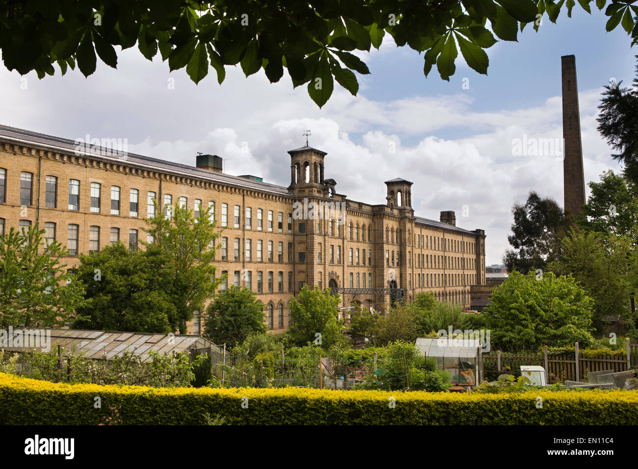 UK, England, Yorkshire, Bradford, Saltaire, allotment gardens in front of Salt’s Mill Stock Photo
