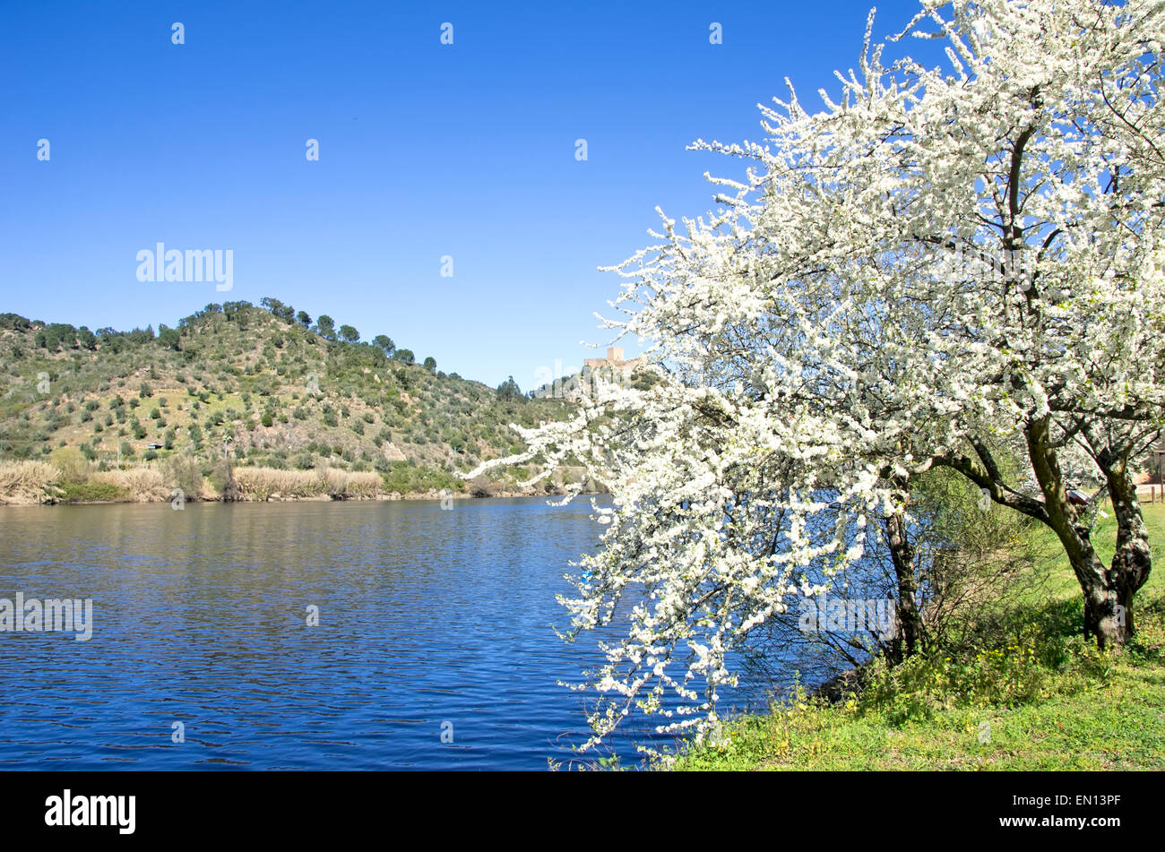 Portugal fortified wall hi-res stock photography and images - Alamy