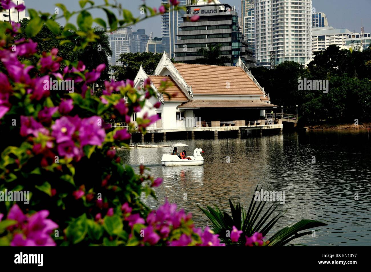 Bangkok, Thailand:  Lavender Bougainvillea flowers frame a Thai cafe on the lake in Lumphini Park with modern office towers Stock Photo