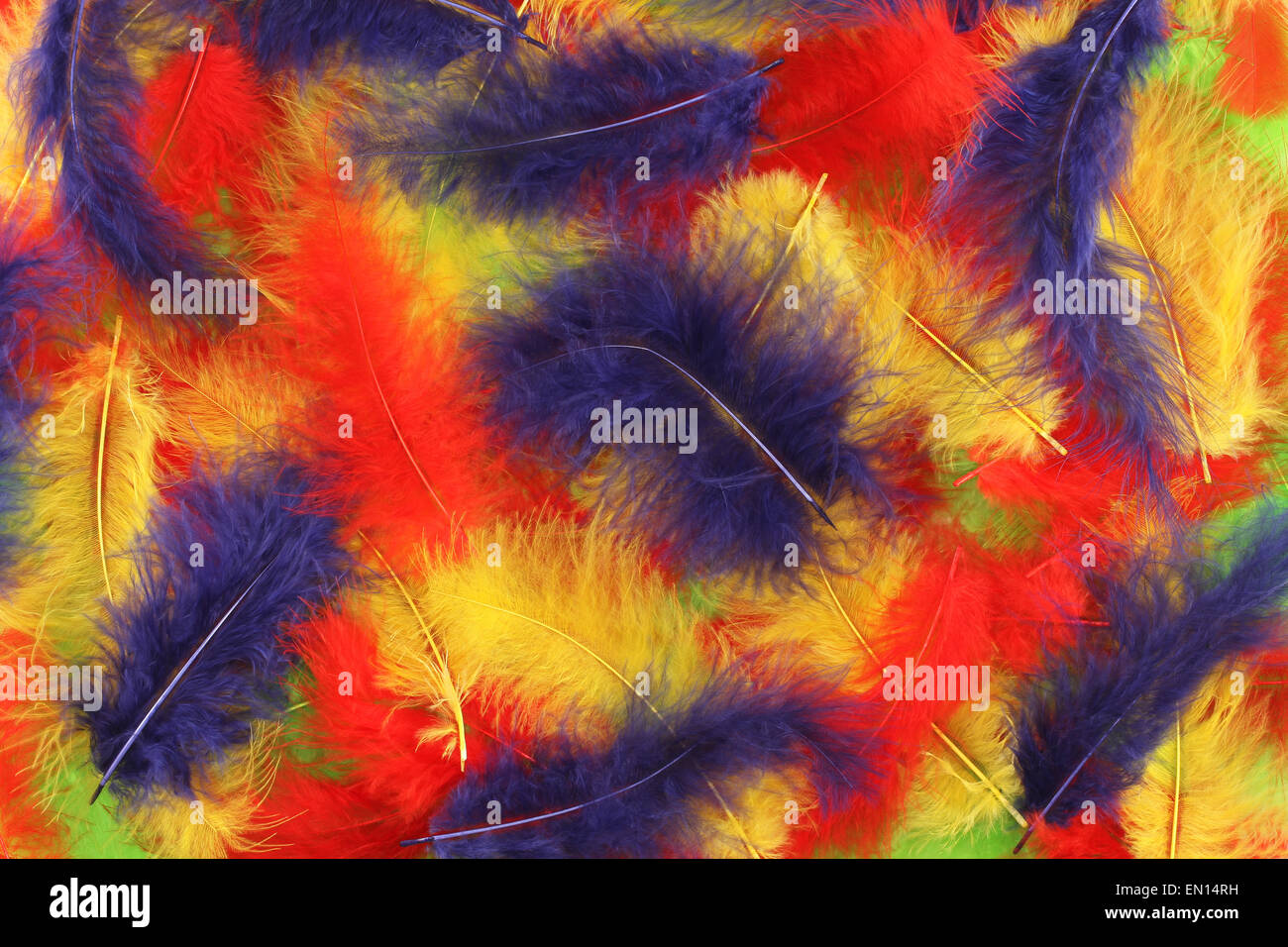 Red, blue, yellow, green plumes background Stock Photo