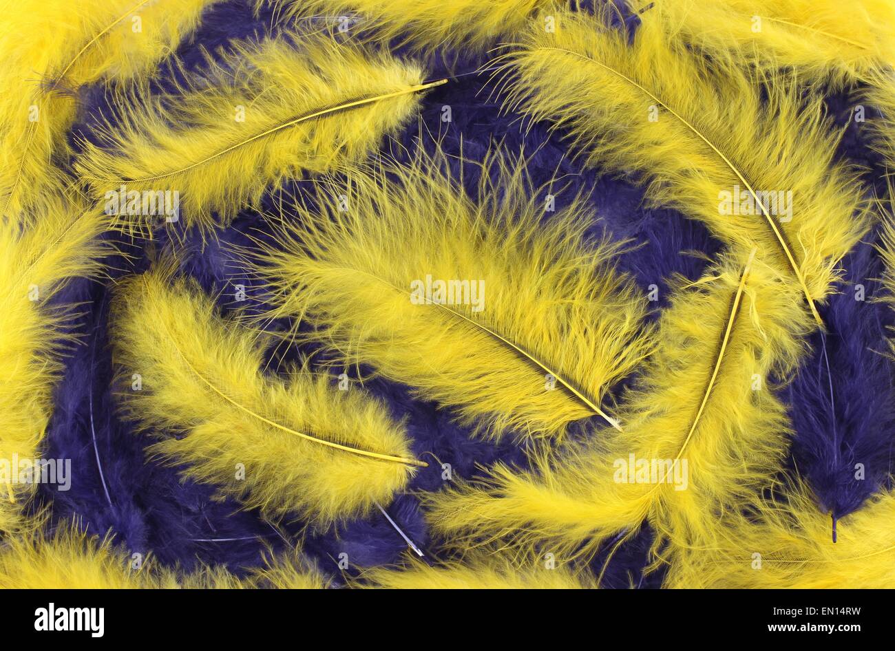 Blue and yellow plumes background Stock Photo