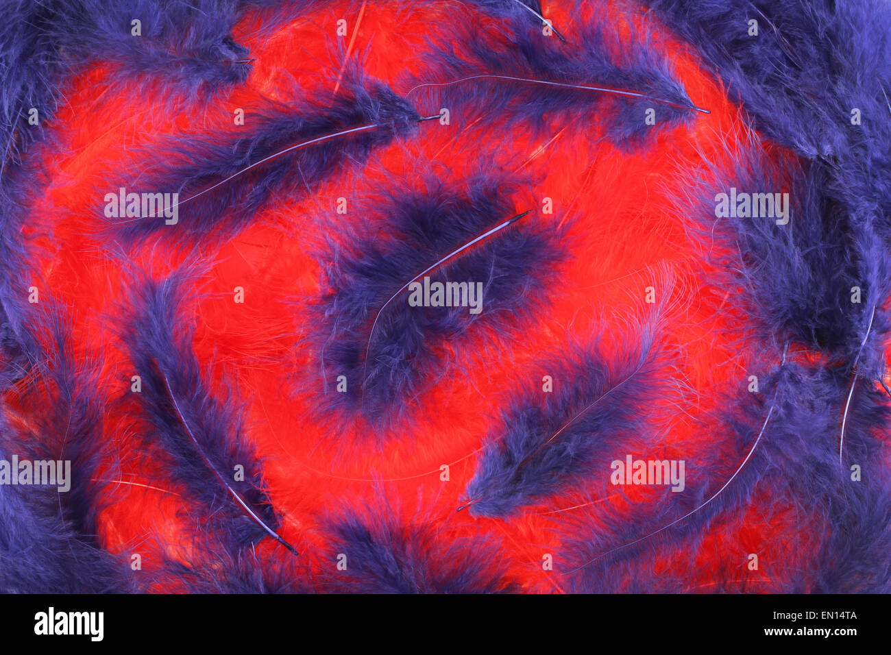 Red and blue plumes background Stock Photo