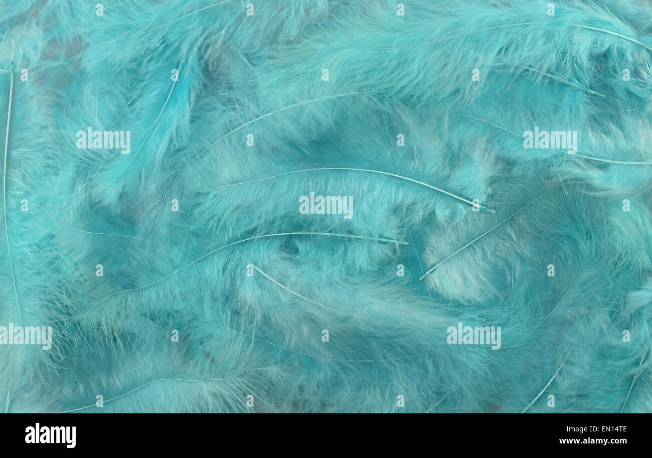 Background - small light turquoise plumes situated irregularly Stock Photo