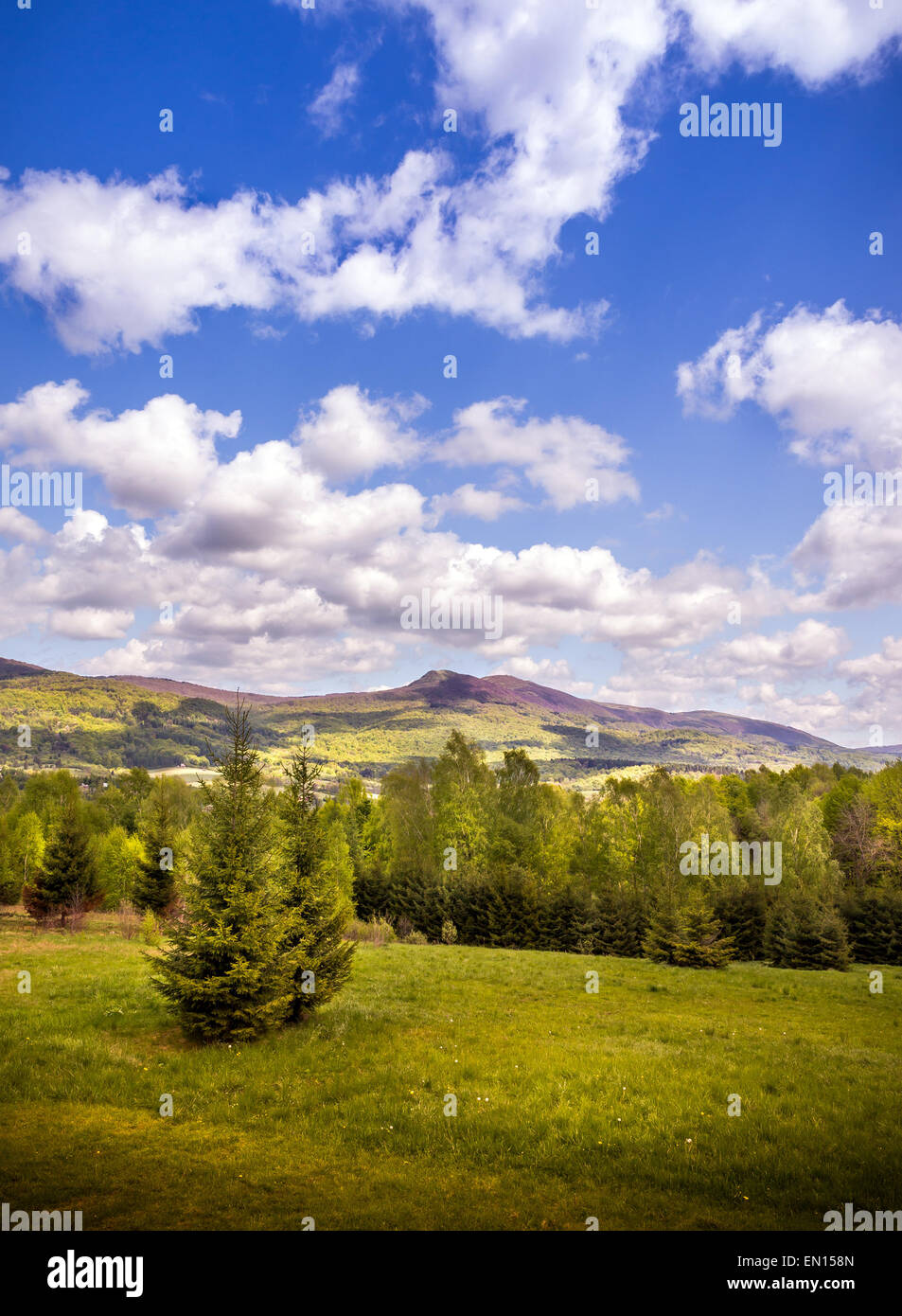 Landscape of mountains and forest in eastern Europe Stock Photo