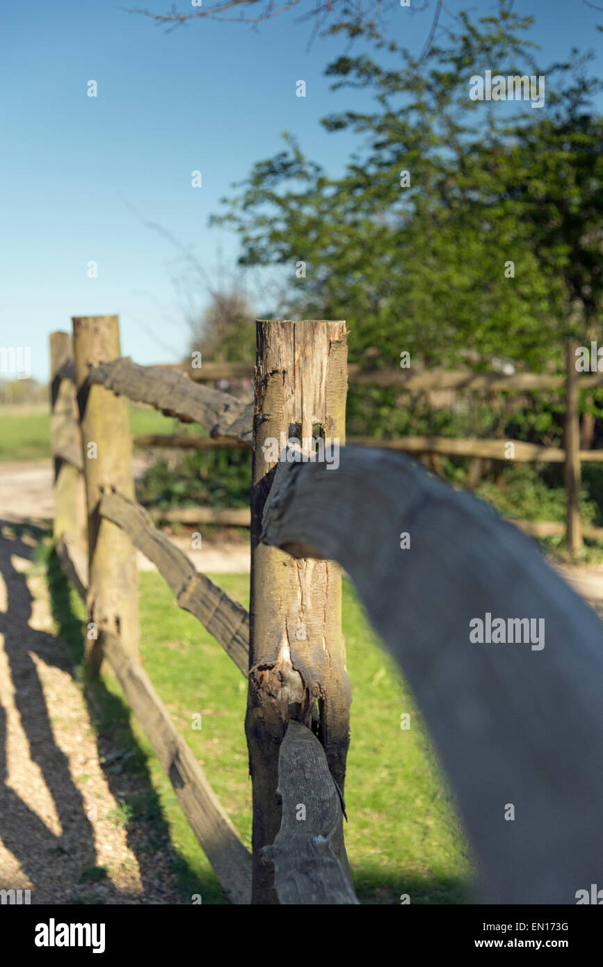 Fencing Stock Photo Alamy