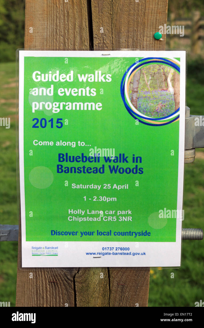 Banstead, Surrey, England, UK. 25th April 2015. Banstead Woods are a