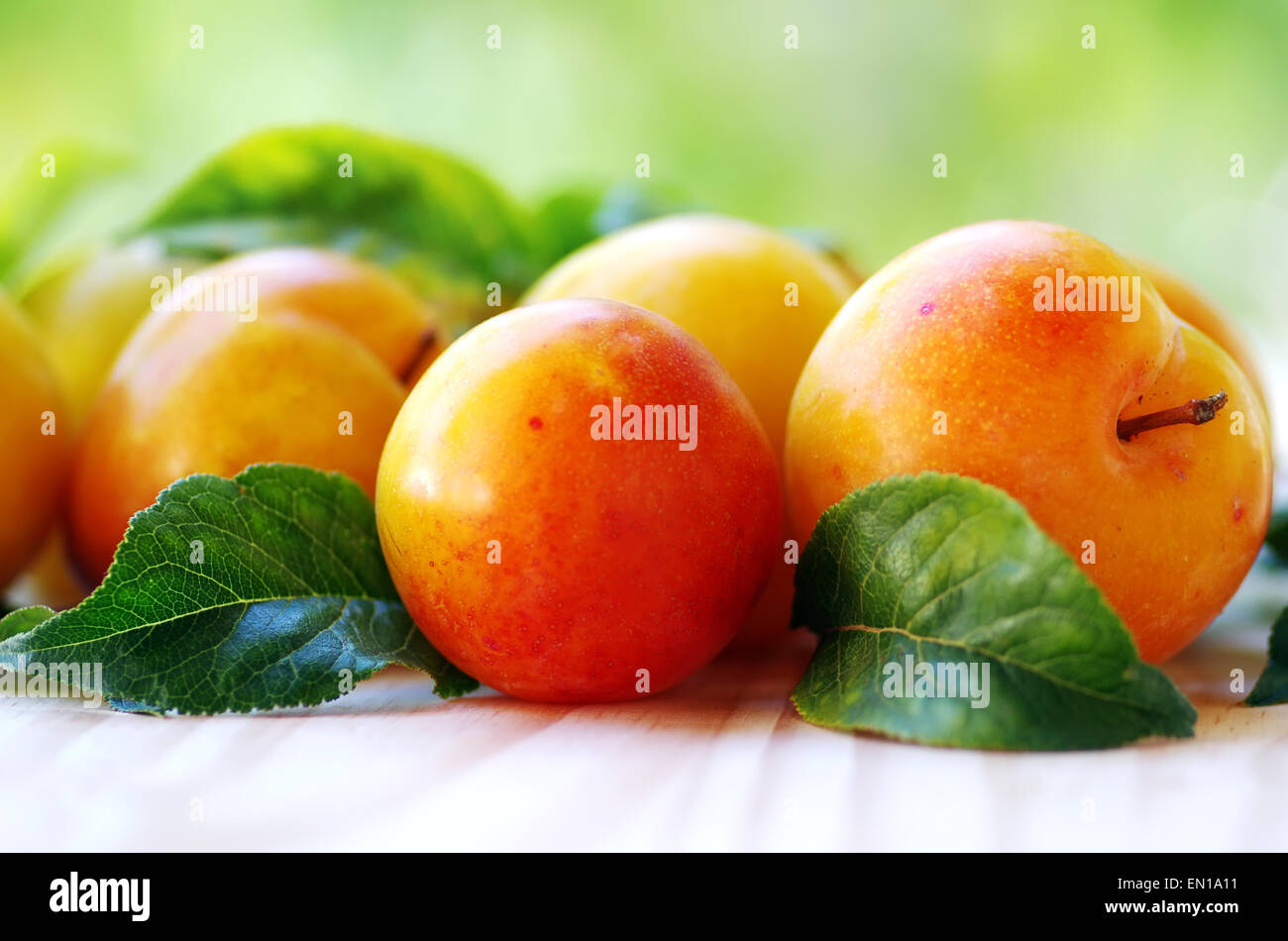 yellow plums on green background Stock Photo Alamy