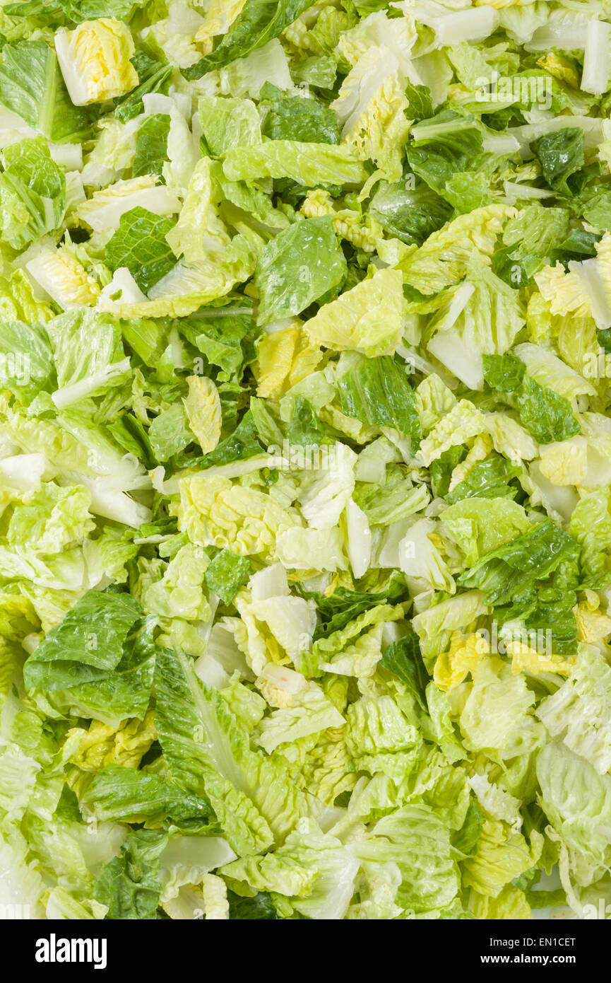Julienne of Lettuce Close Up Stock Photo Alamy