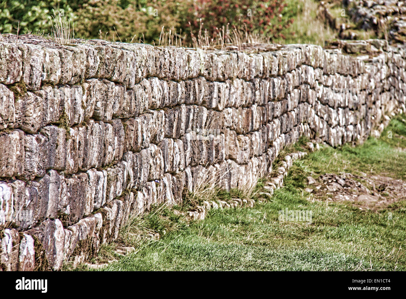 Roman Wall Housteads Northumberland England Stock Photo Alamy