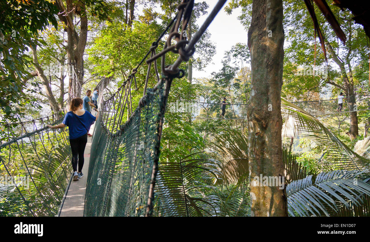 Forest canopy walkway, FRIM Bukit Lagong Forest Reserve, Kepong, Malaysia Stock Photo