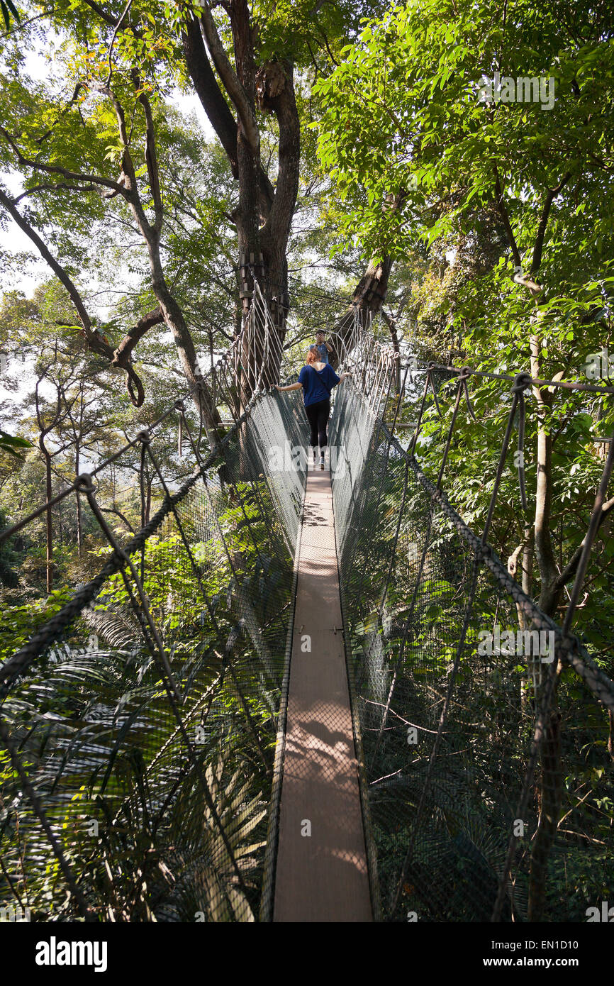 Forest canopy walkway, FRIM Bukit Lagong Forest Reserve, Kepong, Malaysia Stock Photo