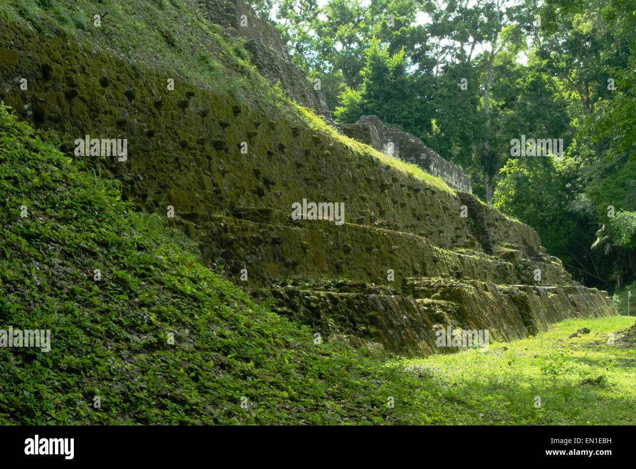 Guatemala grass hires stock photography and images Alamy