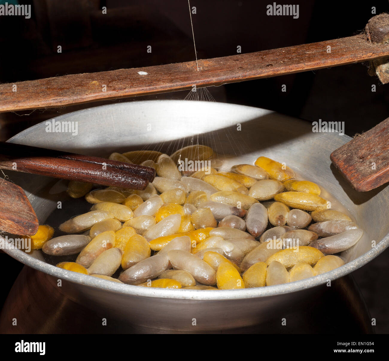 Pot of hot water containing silken cocoons, yellow are Thai, white are Chinese, Chiang Mai, Thailand Stock Photo