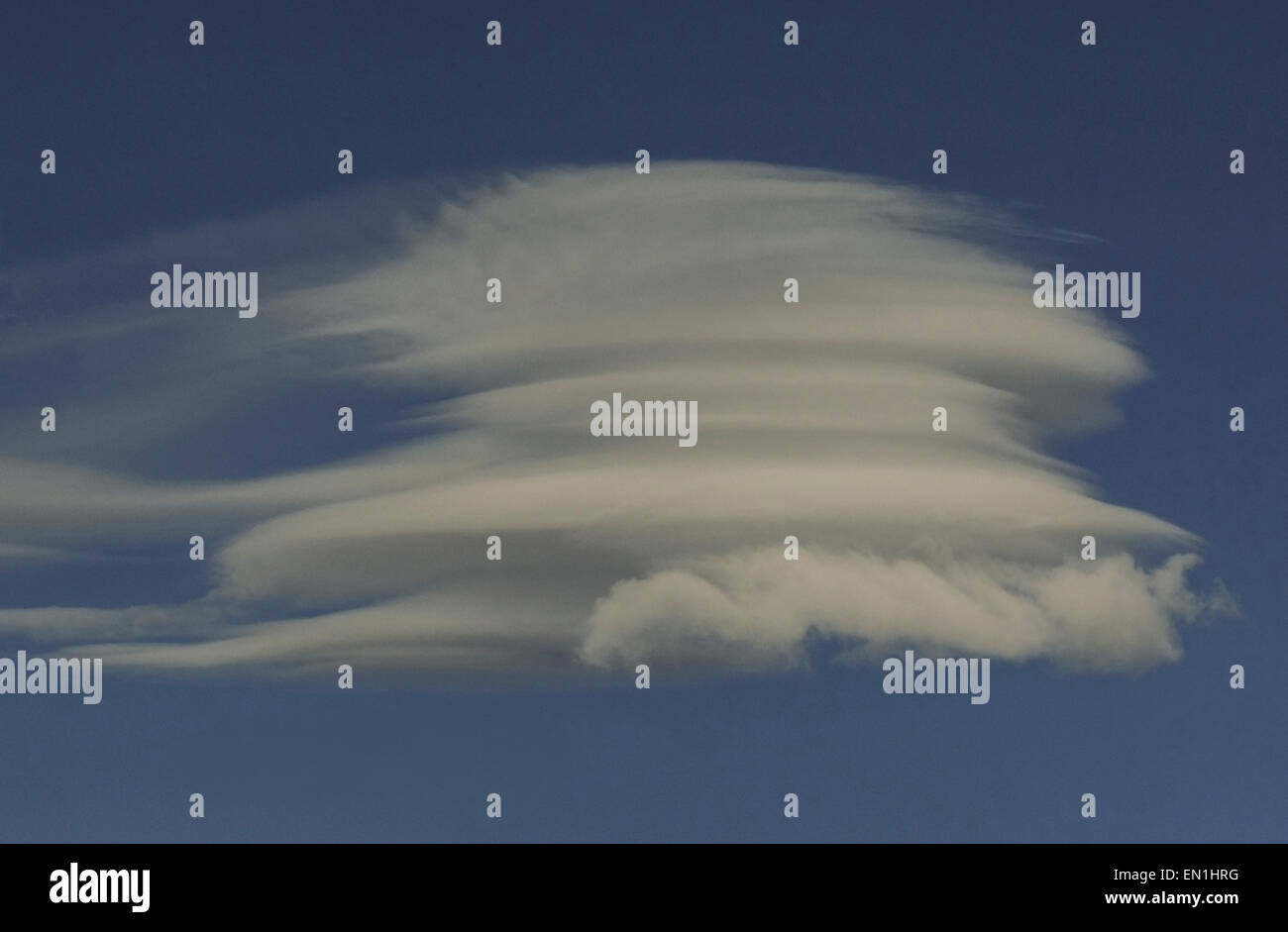 Structure of lenticular sheet.