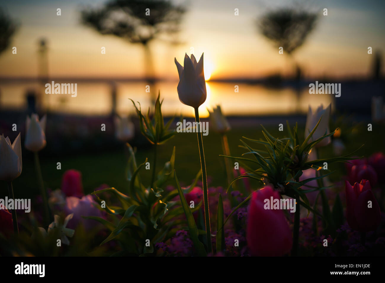 Lake in zug switzerland hires stock photography and images Alamy