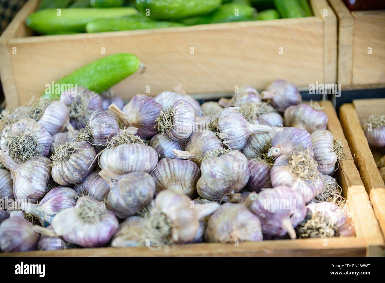 Garlic bulbs for sale at Hobart's Salamanca Market Stock Photo Alamy