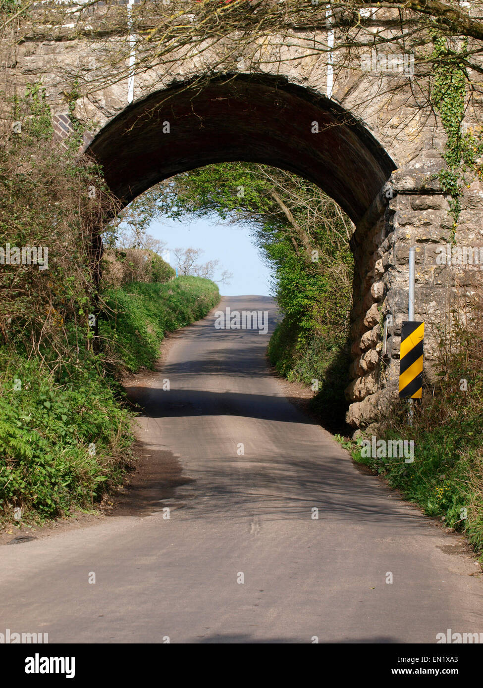 Broad under a railway bridge, UK Stock Photo Alamy