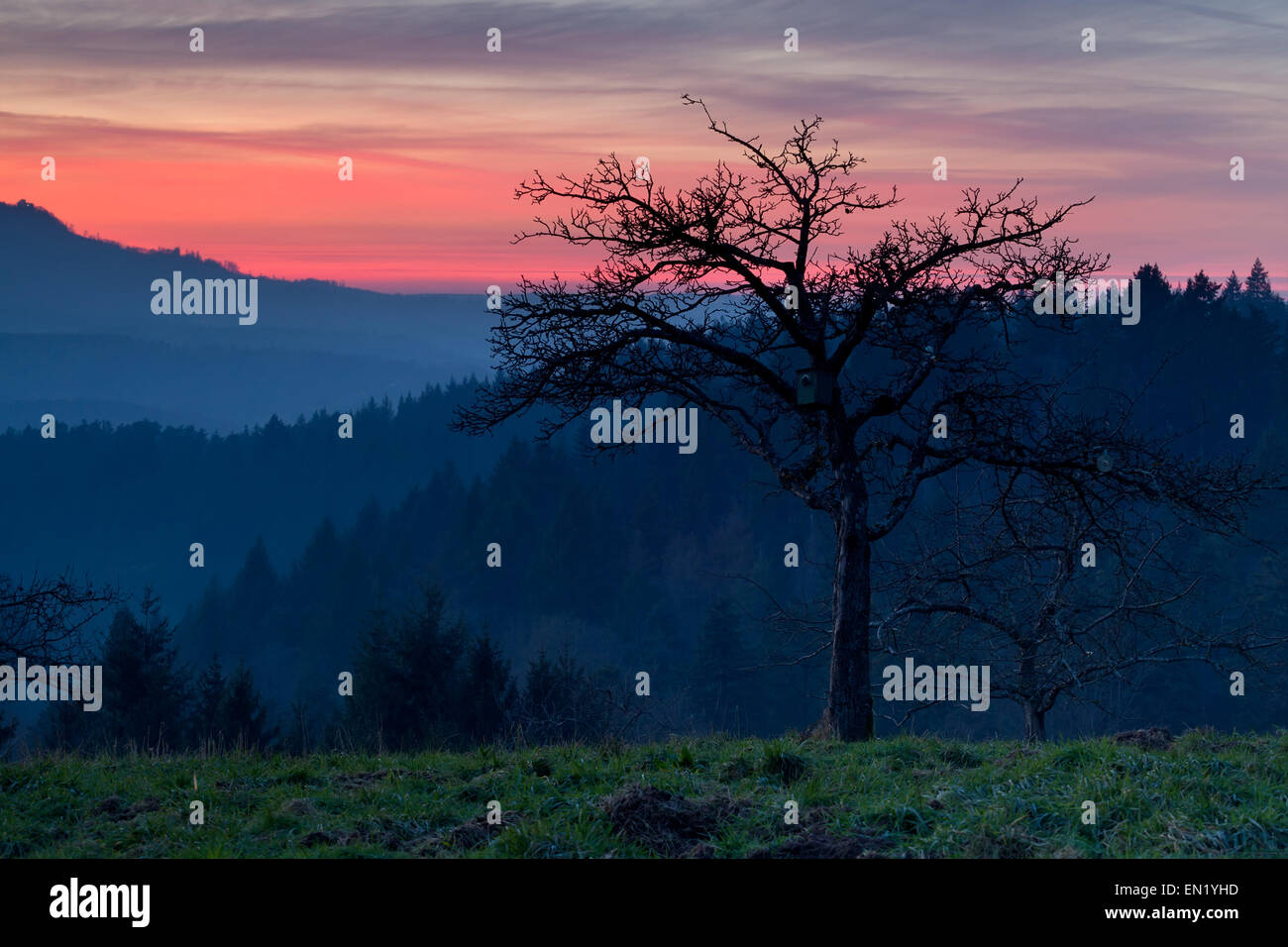 Tree on hill dramatic hi-res stock photography and images - Alamy