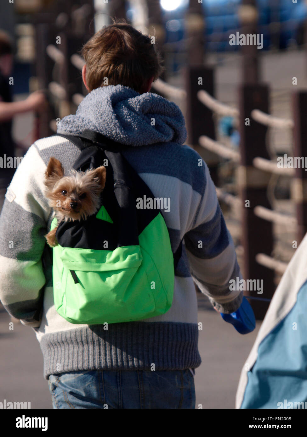Carrying the dog hires stock photography and images Alamy