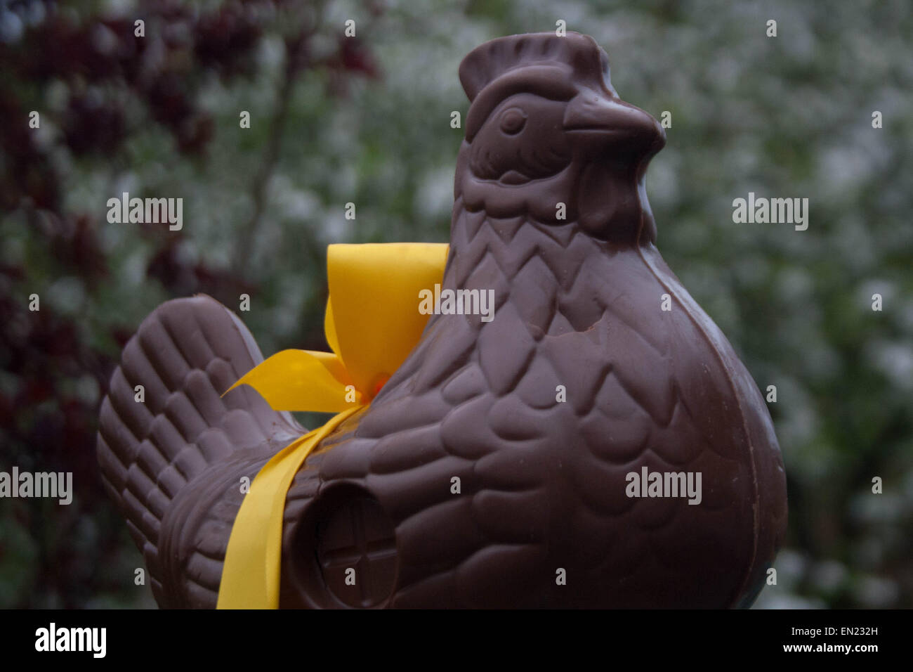 Chicken shaped Easter egg. Stock Photo