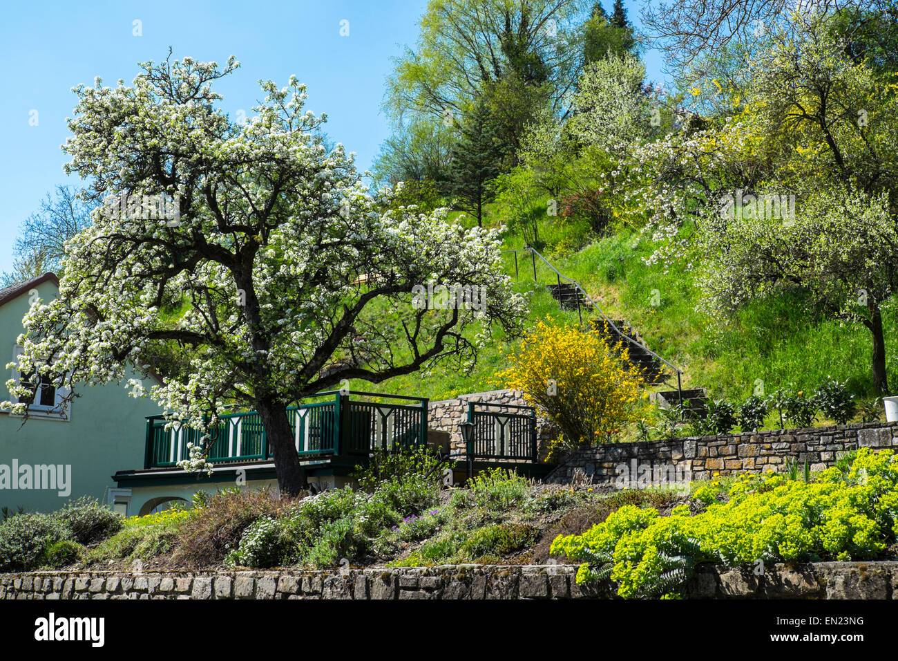 Spring in a small village, Austria Stock Photo - Alamy