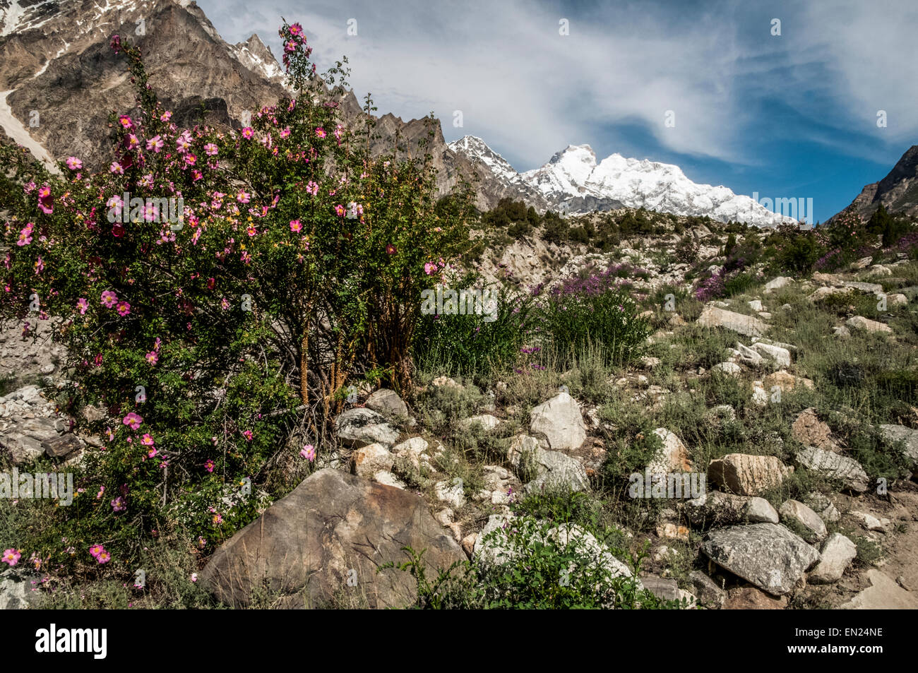 Mountains and Faces; Trekking in the Karakoram Mountains Stock Photo