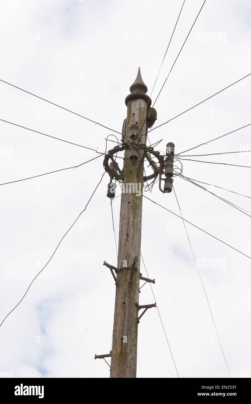 Telephone wires radiating from a pole in Wolseley Road,