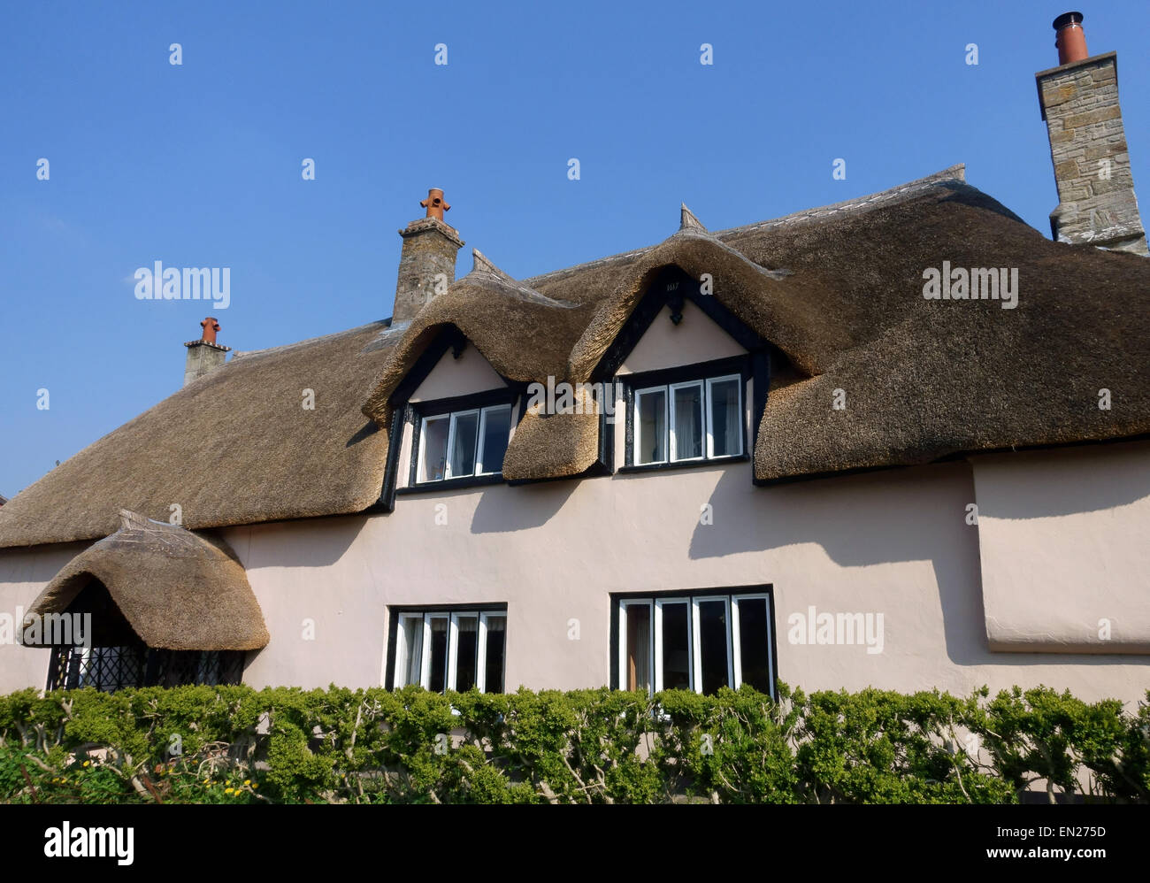 Traditional thatched roof house in village in Somerset, England Stock