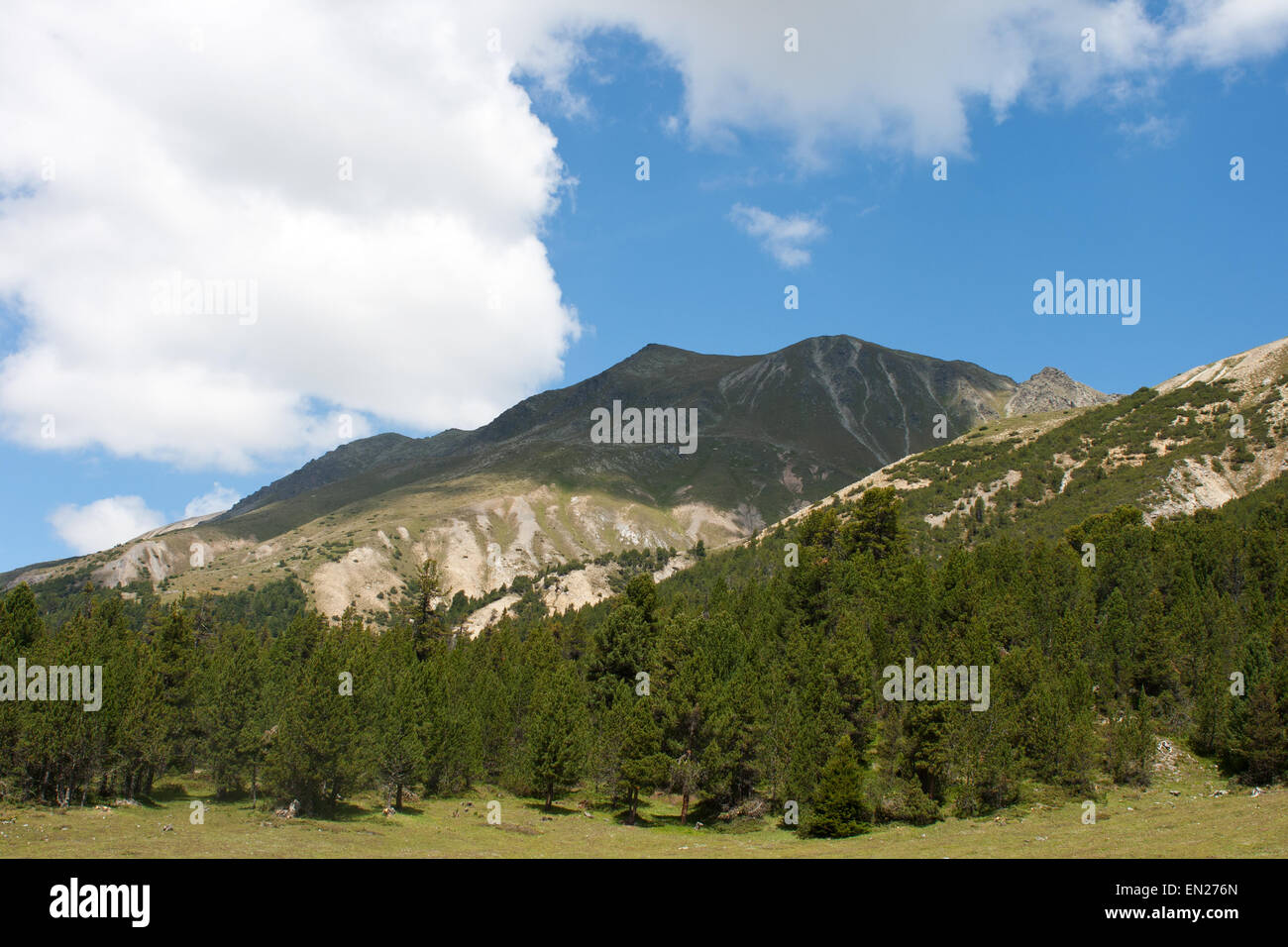 Piz Dora Val Mora Val Mustair Switzerland Engadin Alps  mountain peak with forest Stock Photo