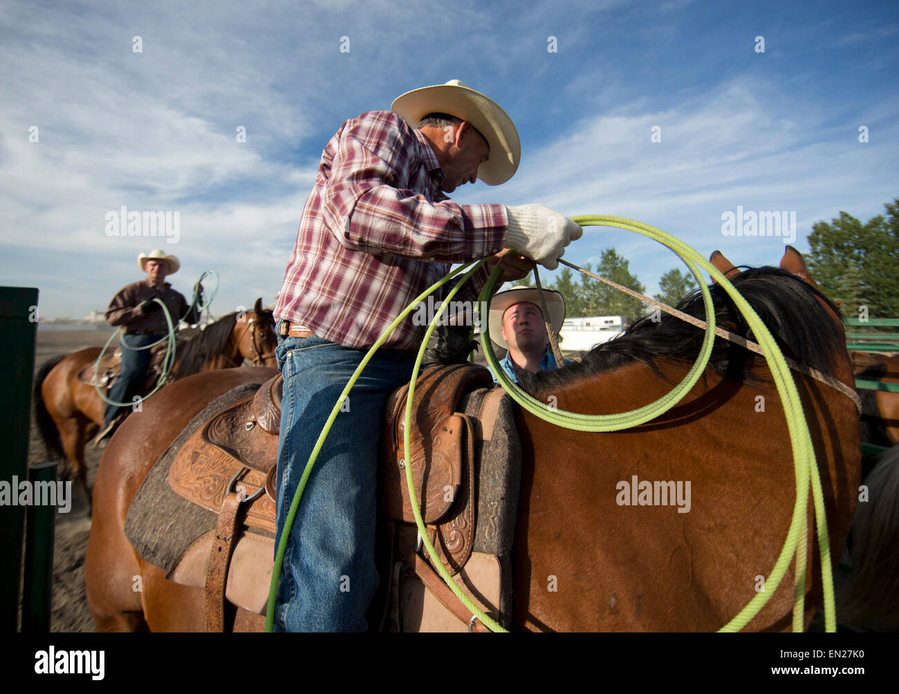 cowboy stampede in Galgary, Canada Stock Photo