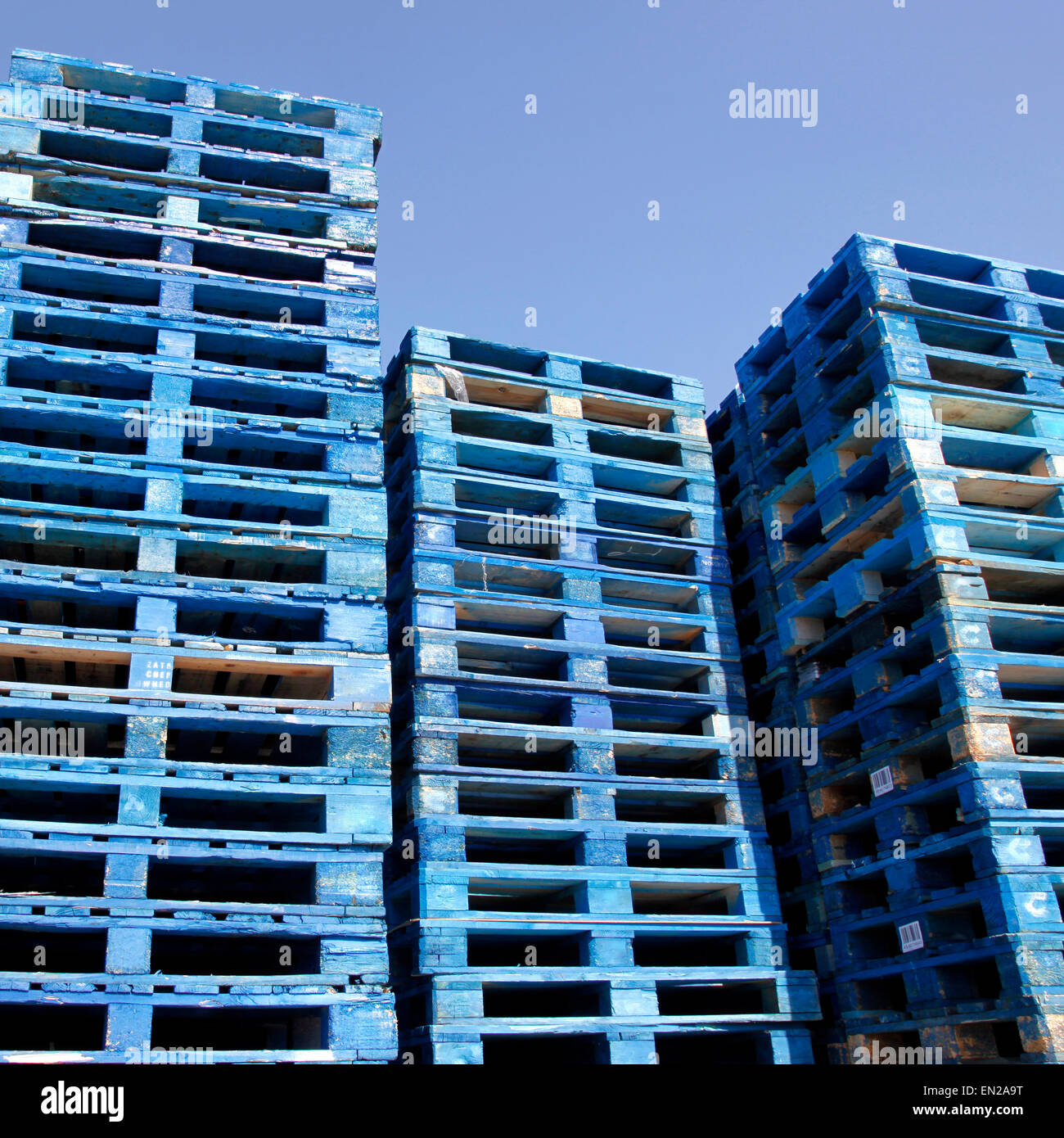 a lot of blue pallets in sunshine with blue sky Stock Photo Alamy