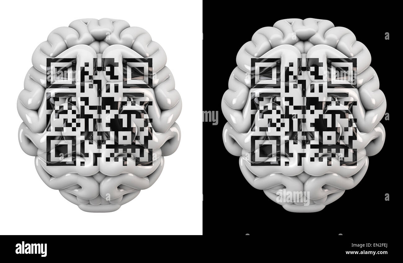 3D render of brain with QR code of Latin phrase cogito ergo sum Stock Photo
