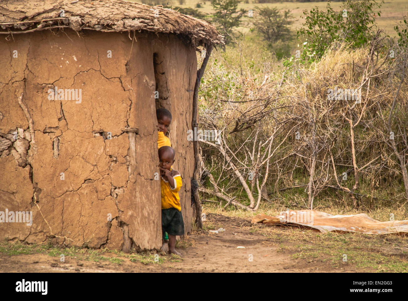 Two small Masai children peek out from a mud hut in a Masai Village. The huts form a kraal and is fenced by acacia thorn bushes. Stock Photo
