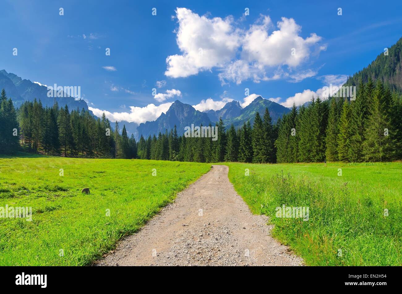Pathway in mountains. Mountain trail running through the White Water Valley Bielovodska dolina) in Tatras, Slovakia. Stock Photo