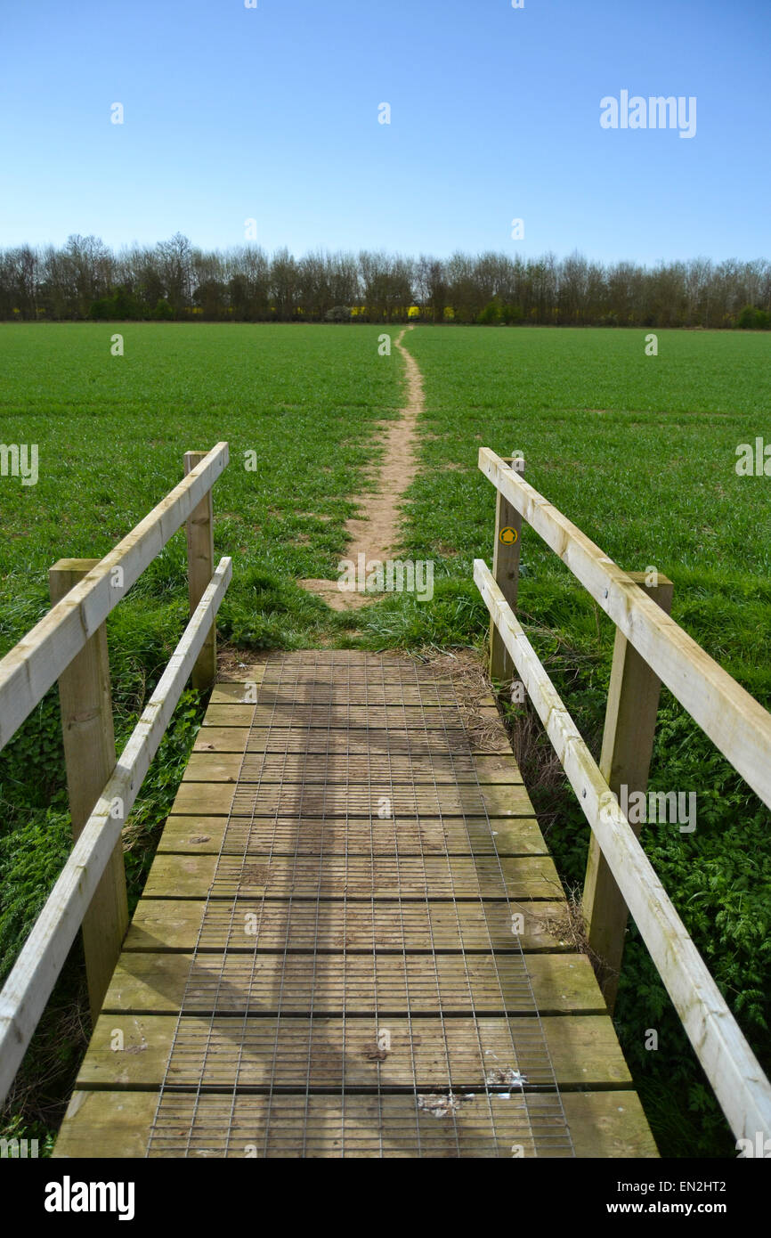Wooden foot bridge leading onto a thin trail that runs through the image and up to a forest on the horizon line Stock Photo