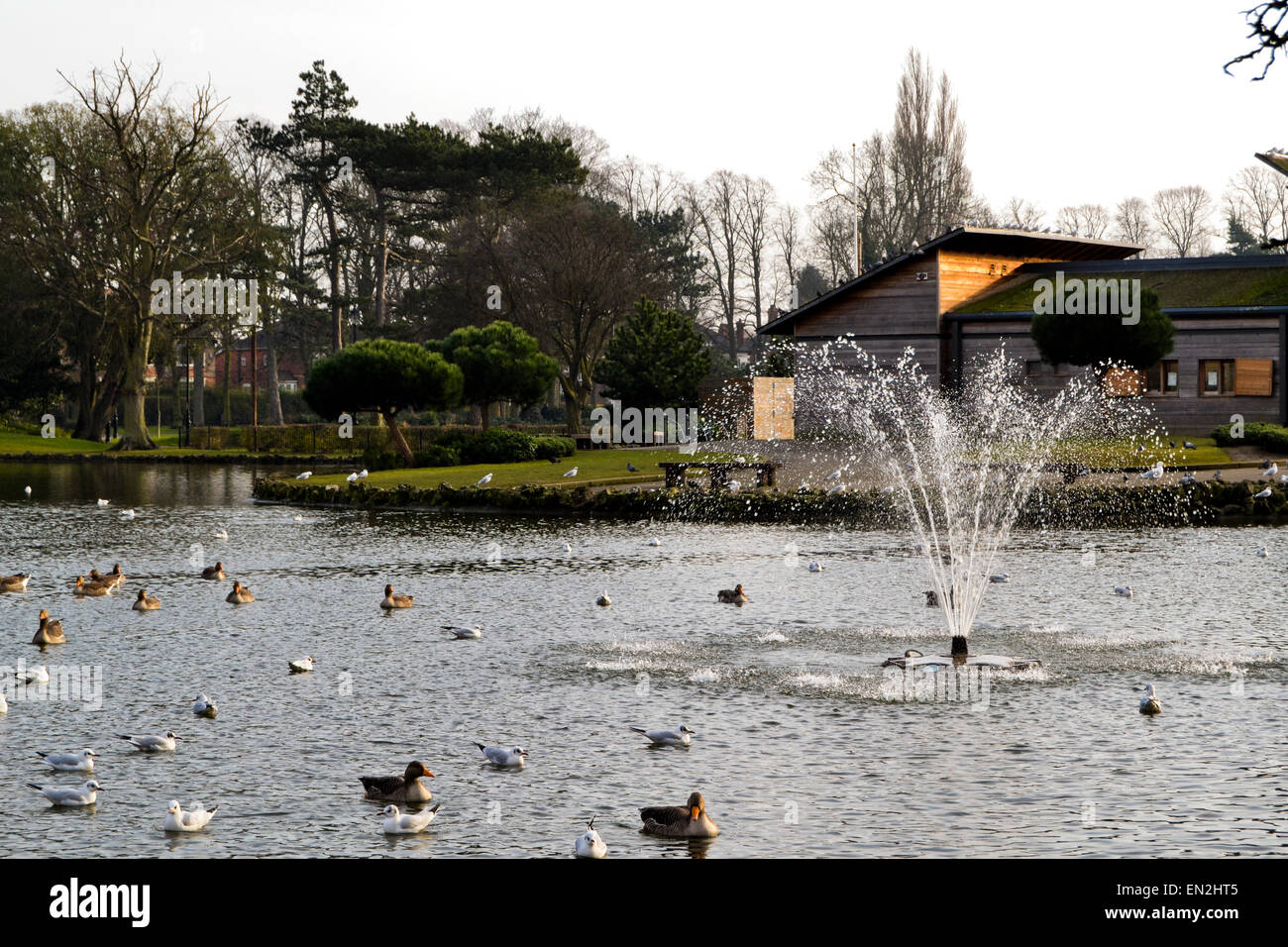 Peoples park grimsby hires stock photography and images Alamy
