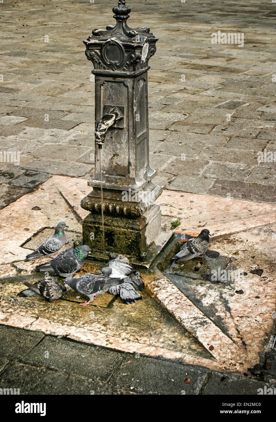 Venice, Province of Venice, ITALY. 7th Oct, 2004. Pigeons drink from water discharged from the communal water tap, a historical relic from the past, in the Campo del Nuovo Ghetto in Venice. A UNESCO World Heritage Site, Venice is one of the most popular international tourist destinations. © Arnold Drapkin/ZUMA Wire/Alamy Live News Stock Photo