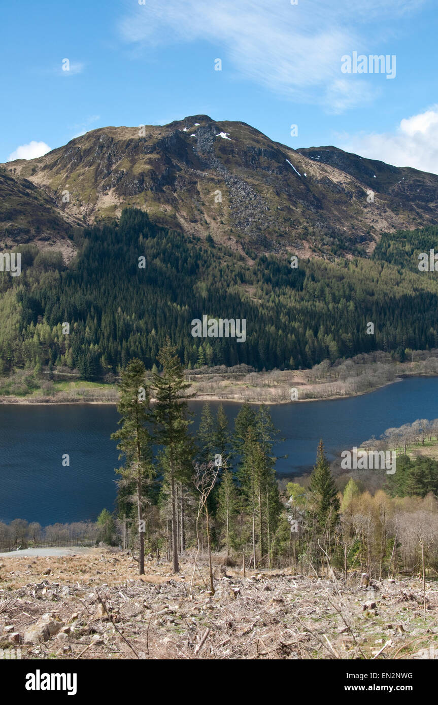 Forests around Loch Lubnaig in the Trossachs National Park, Scotland Stock Photo