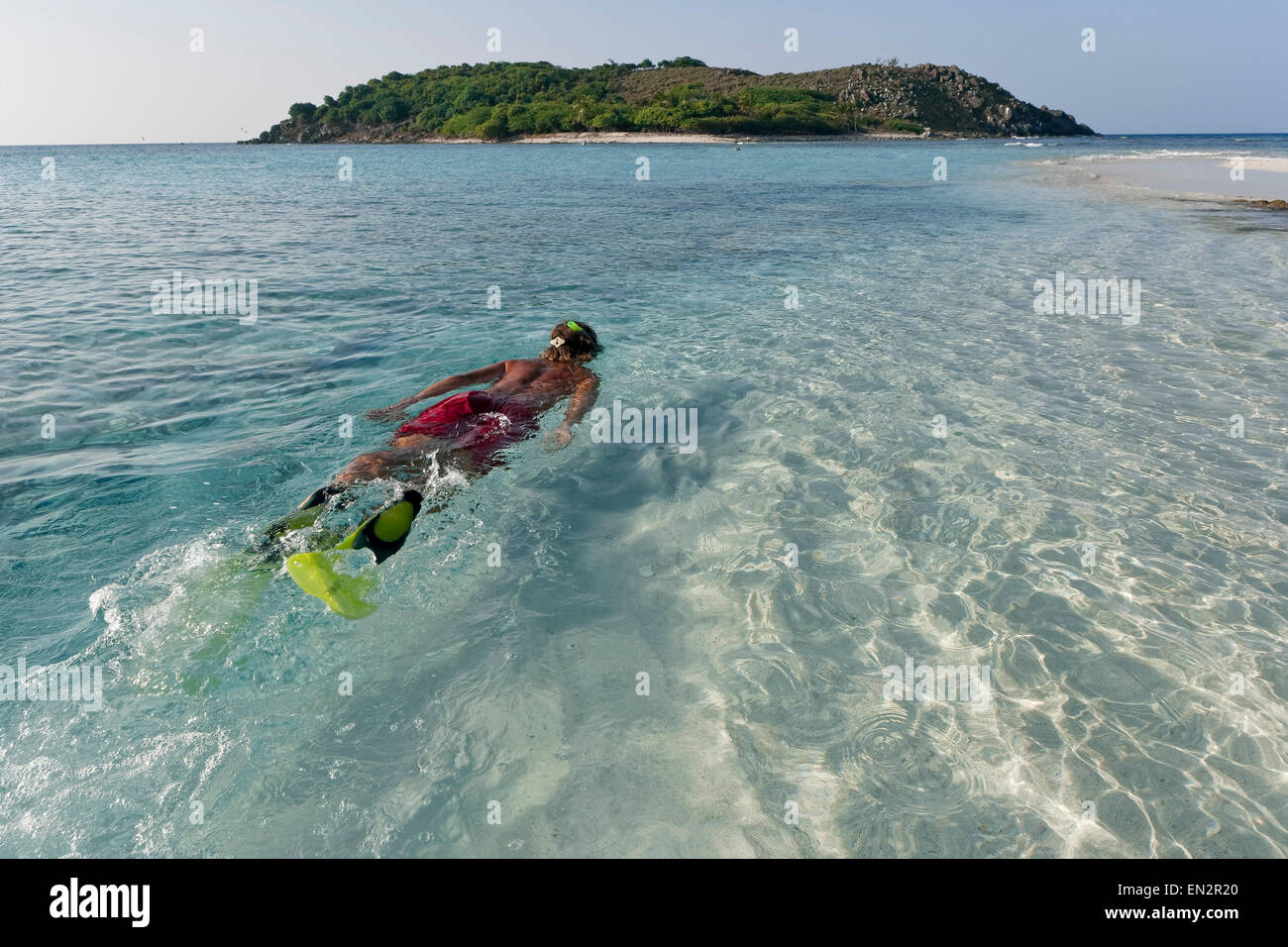 Snorkeling in Sandy Spit, BVI (British Virgin Islands), Caribbean Stock Photo