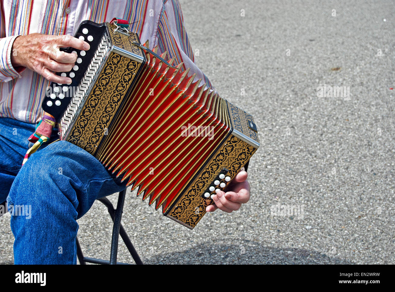 Accordion vintage 2024