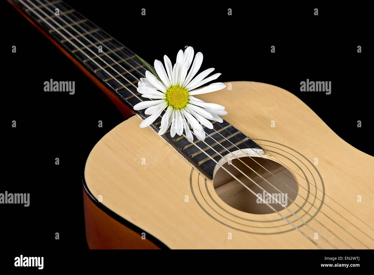 Six string guitar on black with single white daisy. Stock Photo