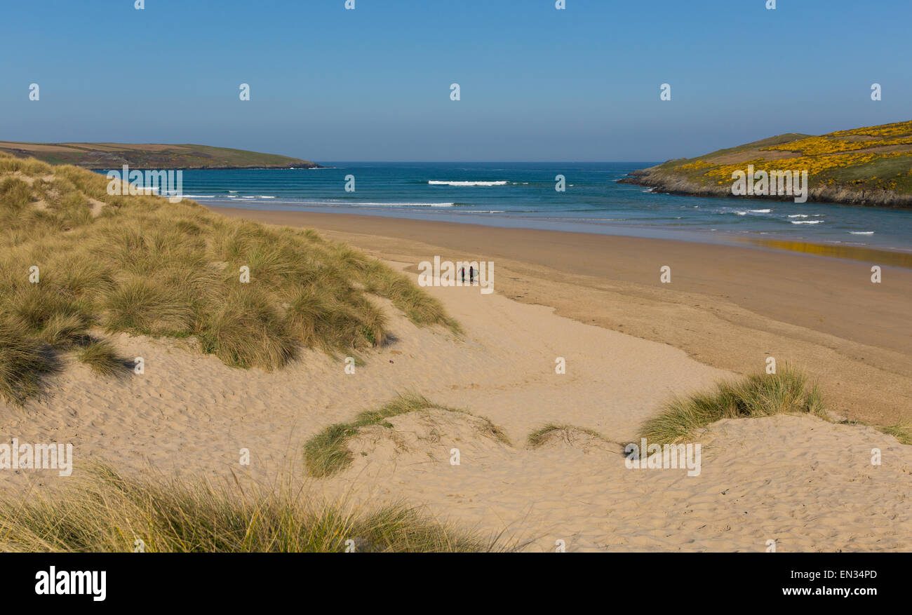 Crantock beach North Cornwall England UK near Newquay popular for surfing and surfers with blue sky and sea Stock Photo