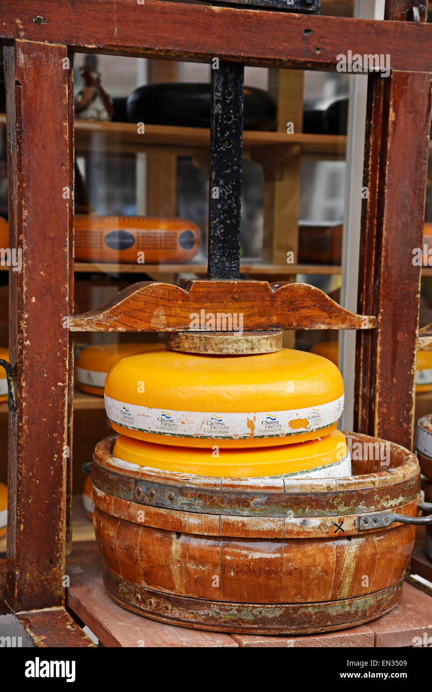 Cheese wheel in a cheese press, edam cheese in front of a cheese shop